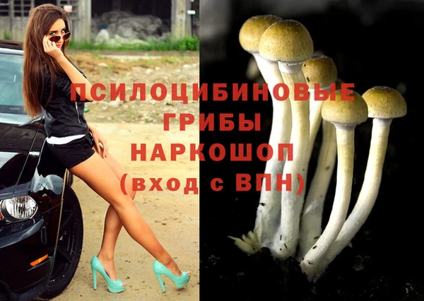 а пвп мука Няндома
