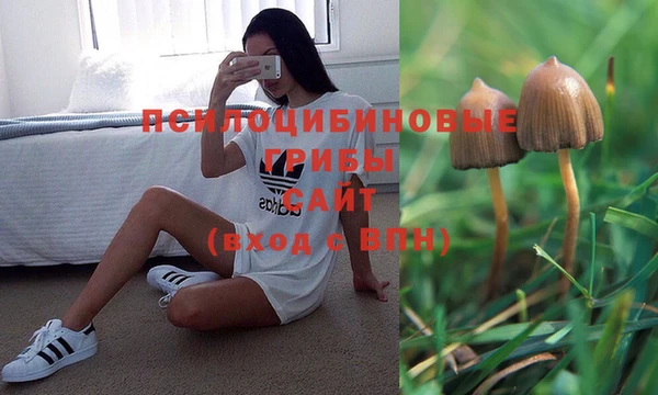 каннабис Нязепетровск